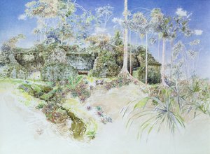 Tempio in Rovina, Tikal, Guatemala, 1984 da James Reeve