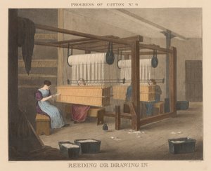 Progresso del cotone: #9 - Reeding o disegno