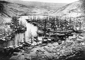 Porto di Balaklava durante la Guerra di Crimea, c.1855