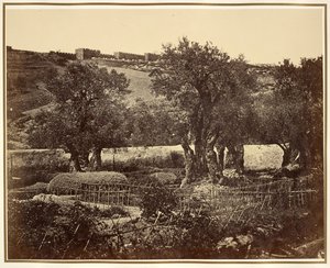 Il giardino del Getsemani da James Robertson