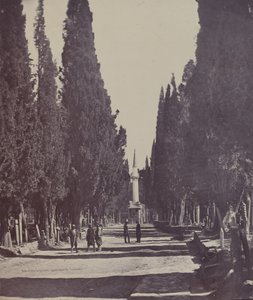 Scena nel grande cimitero di Scutari