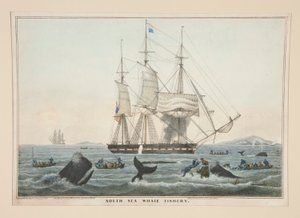 Pesca di balene nel Mare del Sud da James S. Baillie