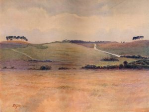 Chobham Common, 1911, 1914 da James S Ogilvy