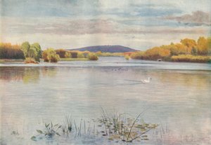 Vachery Pond da James S Ogilvy