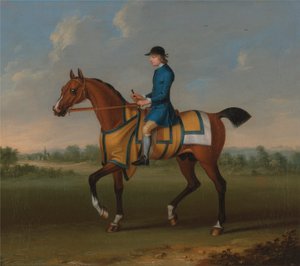 Un cavallo da corsa baio con fantino