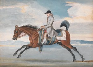 Cavallo da corsa durante l