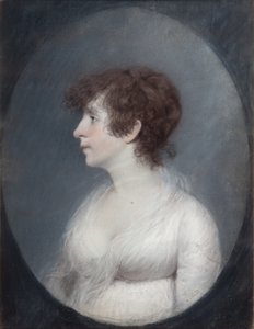 Lady Wilmot da James Sharples