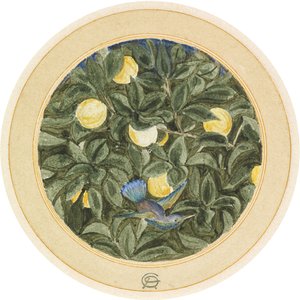 Il colibrì da James Smetham