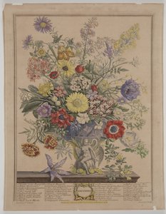 Novembre 1730 da James Smith