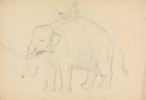 Elefante con Cavaliere da James Sowerby