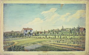 Giardini botanici di William Curtis, Lambeth Marsh, c.1787