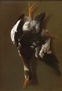 Uccelli morti, c.1815 da James Thom