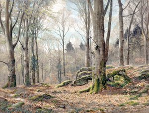 Un bosco gallese da James Thomas Watts