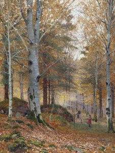 Autunno nel bosco