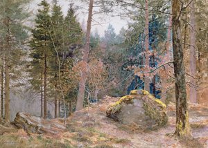 In un bosco gallese, inverno da James Thomas Watts