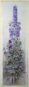 Delphinium da James Valentine Jelley
