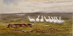 Un gioco di volpe e oche da James W. Usher
