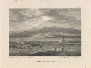 Flint, da Park-Gate