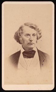 Ritratto di Charles Sumner 1811-1874, prima del 1874