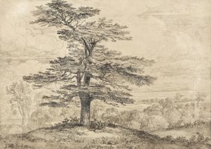 Un cedro su una collina con un gruppo di cervi sotto la sua ombra da James Ward