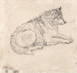Cane artico, rivolto a destra da James Ward