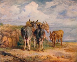 Asini, c1831