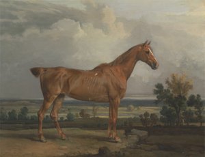 Cacciatore in un paesaggio da James Ward