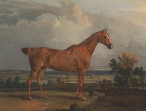Cacciatore in un paesaggio da James Ward