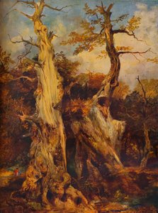 Nella foresta