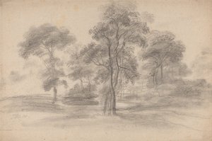 Paesaggio con alberi da James Ward