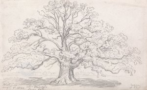 La grande quercia del signor Howard, 5 agosto 1820 da James Ward