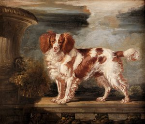 Ritratto di Dash, uno spaniel preferito, proprietà di Lady Frances Vane-Tempest da James Ward