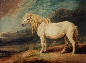 Pony delle Shetland da James Ward