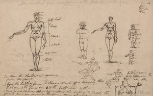 Studi di anatomia, misure e scrittura da James Ward