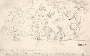 Studi di piante, 2 agosto 1815