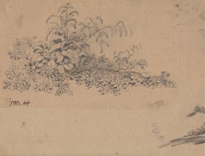 Studio di sottobosco da James Ward