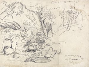 Studio di una montagna con alberi da James Ward
