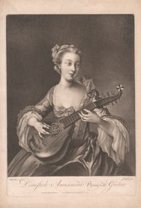 Divertimento Domestico: Suonare la Chitarra