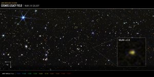 Galassia MoM-z14 del campo COSMOS (immagine NIRCam) da James Webb Space Telescope (NASA)