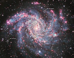 NGC 6946 da James Webb Space Telescope (NASA)