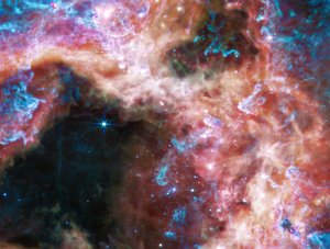Nebulosa Tarantola (Immagine MIRI) da James Webb Space Telescope (NASA)