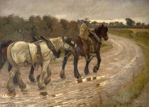 Verso casa