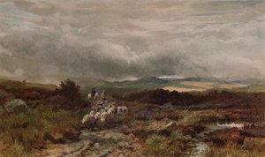 Strada di Montagna, Capel Curig, Galles del Nord da James William Whitaker