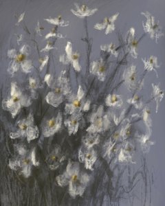 Fiori bianchi da sogno da James Zamora