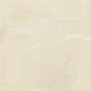 Scrittura astratta sfumata da James Zamora
