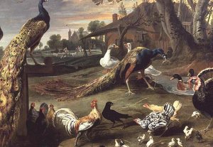 Pavone e altri uccelli in un paesaggio