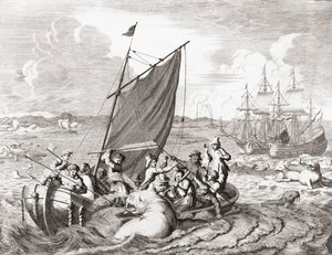 Cacciatori di trichechi nel XVI secolo (incisione) da Jan (after) Luyken