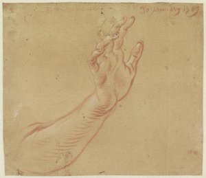 Studio di un braccio destro da Jan Anton Garemyn