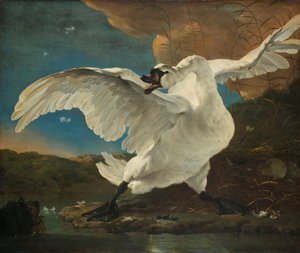 Il cigno minacciato (interpretato successivamente come allegoria su Johan de Witt)