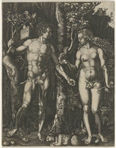 La caduta dell